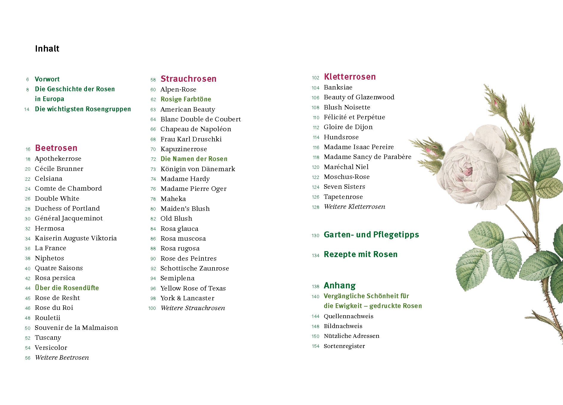 Inhaltsverzeichnis von "Historische Rosen | fünfzig Rosensorten mit prachtvollen historischen Illustrationen" aus dem Dumont Verlag, mit Kapiteln über alte Rosen, Pflege, Kletterrosen & mehr. Illustrierte weiße Rose mit grünen Blättern ziert die rechte Seite.