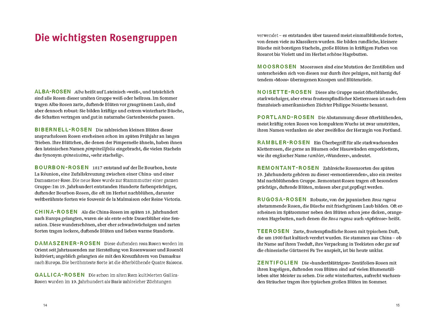 Das Buch "Historische Rosen | fünfzig Rosensorten mit prachtvollen historischen Illustrationen" aus dem Dumont Verlag beschreibt fünfzig historische Rosensorten mit fettgedruckten Gruppennamen und detaillierten Informationen sowie beeindruckenden historischen Bildern.