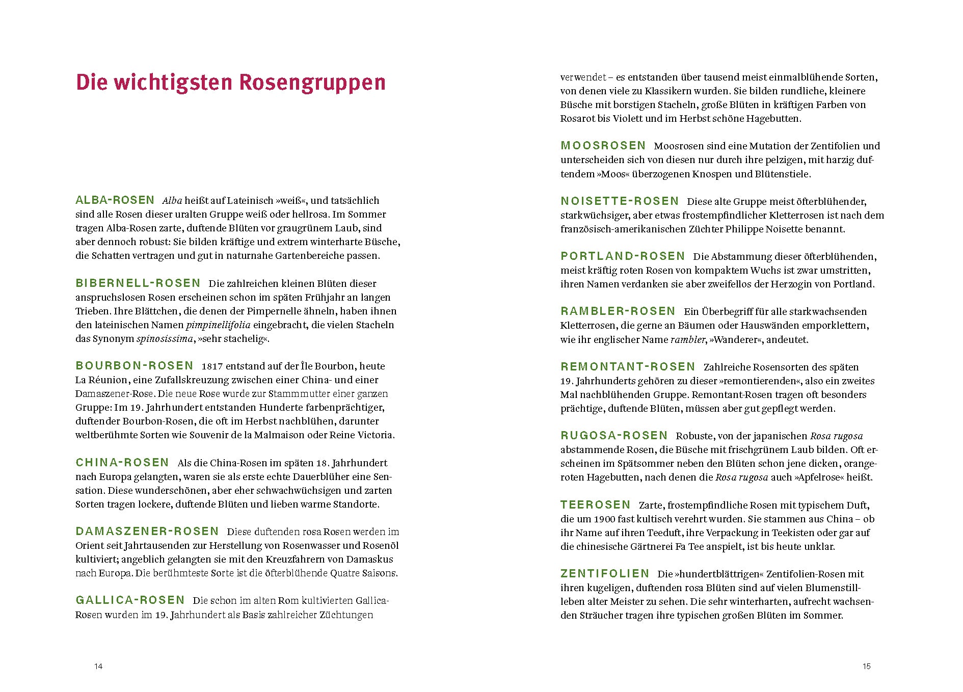 Das Buch "Historische Rosen | fünfzig Rosensorten mit prachtvollen historischen Illustrationen" aus dem Dumont Verlag beschreibt fünfzig historische Rosensorten mit fettgedruckten Gruppennamen und detaillierten Informationen sowie beeindruckenden historischen Bildern.