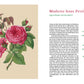 Ein illustrierter Druck aus "Historische Rosen | fünfzig Rosensorten mit prachtvollen historischen Illustrationen" aus dem Dumont Verlag zeigt einen Rosenzweig mit rosa Blüten und deutschem Text über alte Rosen und Madame Isaac Pereire.