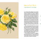 Auf der linken Seite erscheint eine gelbe Maréchal-Niel-Rose mit grünen Blättern; auf der rechten Seite ist ein deutscher Text aus "Historische Rosen | fünfzig Rosensorten mit prachtvollen historischen Illustrationen" des Dumont Verlags mit grünen und goldenen Überschriften abgebildet.