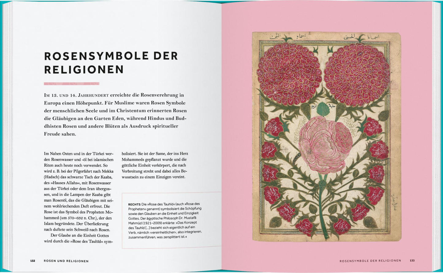 Eine Doppelseite aus Rosen | Die Geschichte der Rosen vom Gerstenberg Verlag zeigt links einen deutschen Text über die Rose in Kulturgeschichte und Religion und rechts eine kunstvolle Illustration zweier roter Rosen mit wirbelnden grünen Stielen und rosa Akzenten.
