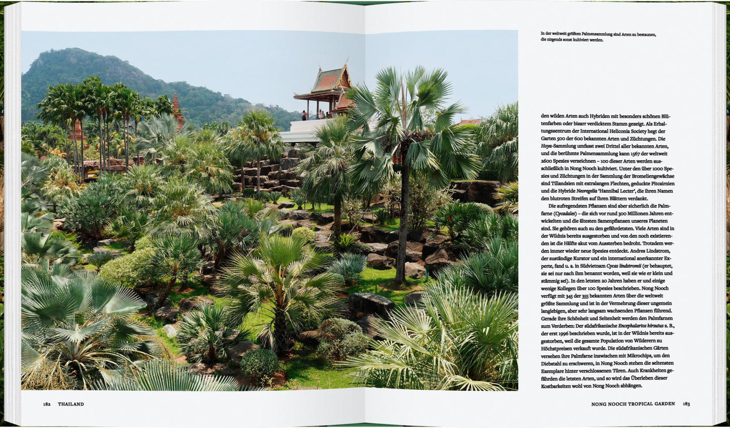 Botanische Gärten | Die schönsten Pflanzenparadiese der Welt" von Gerstenberg Verlag entführt Sie in üppige Tropengärten mit Palmen, exotischer Vegetation und traditionellem Pavillon - ein wahres Pflanzenparadies voller Farbenpracht.