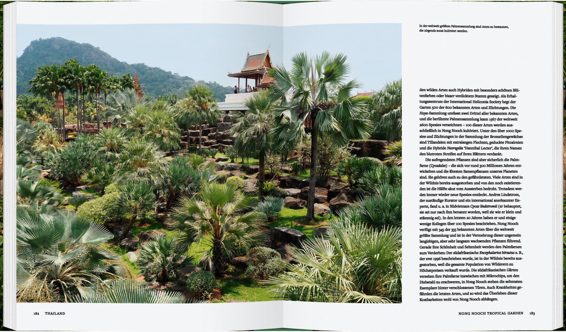 Botanische Gärten | Die schönsten Pflanzenparadiese der Welt" von Gerstenberg Verlag entführt Sie in üppige Tropengärten mit Palmen, exotischer Vegetation und traditionellem Pavillon - ein wahres Pflanzenparadies voller Farbenpracht.