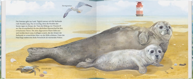 Am Sandstrand des Wattenmeers ruhen sich eine große Robbe und ein Jungtier aus, während eine Möwe über ihnen schwebt. In der Ferne steht ein rot-weißer Leuchtturm und eine Krabbe krabbelt vorbei - perfekt für "Der kleine Seehund und das Meer" vom Gerstenberg Verlag.