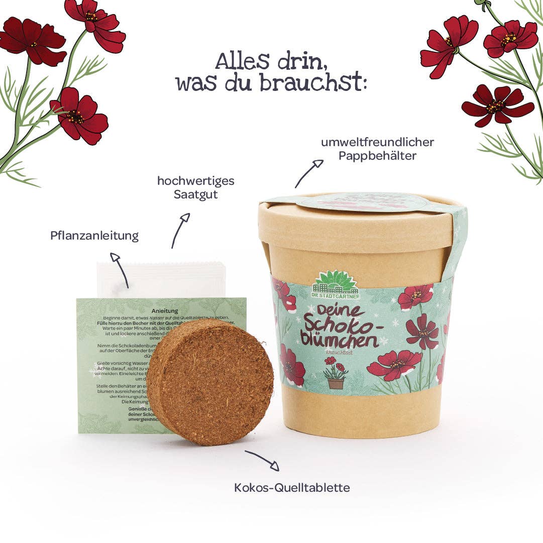 Wir stellen vor: das Anzuchtset „Schokoblumen aus dem Becher“ von TDJ Stadtgärtner GmbH: Dieses Anzuchtset enthält einen Papiertopf, eine Samenpackung, eine Gebrauchsanweisung und eine Kokos-Erdetablette. Verziert mit dekorativen roten Blüten und deutschen Etiketten ist es die perfekte Geschenkidee für Pflanzenfreunde, die Schokoladenblumen selbst ziehen möchten.