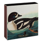 Eine detaillierte Illustration einer Schellente mit schwarz-weißem Gefieder und gelbem Auge ziert die Archivist | 'The Golden-eye Duck' von Audubon Quadratische Sicherheitsspielzeuge by Archivist Gallery, mit "Golden-eye Duck Clangula Vulgaris" in Gold am unteren Rand.