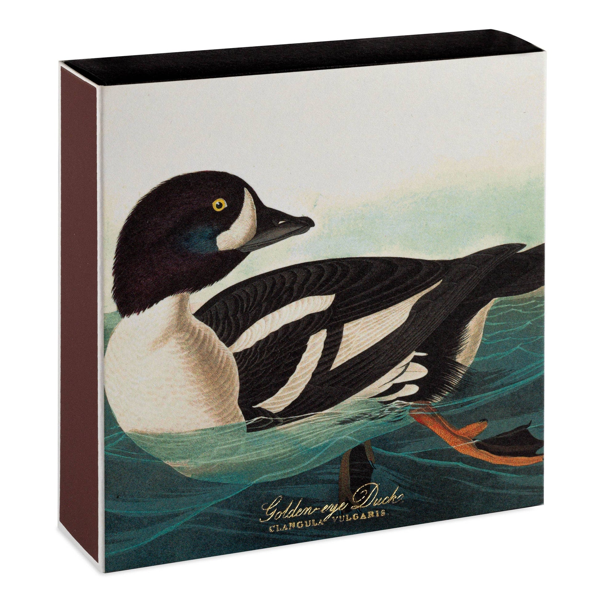Eine detaillierte Illustration einer Schellente mit schwarz-weißem Gefieder und gelbem Auge ziert die Archivist | 'The Golden-eye Duck' von Audubon Quadratische Sicherheitsspielzeuge by Archivist Gallery, mit "Golden-eye Duck Clangula Vulgaris" in Gold am unteren Rand.