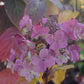 Nahaufnahme einer rosa-violetten Hortensie, ein schöner Herbstblüher, mit taufrischen Blättern, die sanft beleuchtet werden - entdecken Sie mehr Blüten wie diese auf der "Mi. 09.09.2026 | 17.00-18.00 ABENDLICHTFÜHRUNG Herbstblüher entdecken" der Königlichen Gartenakademie.