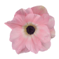 Eine Nahaufnahme der Anemone coronaria MISTRAL® ‚Rosa Chiaro‘ von Sam van Schooten zeigt ihre eleganten, großen Blüten mit zarten, geschichteten Blättern und einer dunkelvioletten Mitte – ein insektenfreundlicher Akzent für jeden Garten.