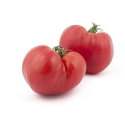 Zwei große, rosarote herzförmige Arche Noah | Fleischtomate 'Rotes Herz' mit grünem Stiel ruhen auf weißem Grund - ideal für Fans von Arche Noahs Bio-Saatgut und einzigartigem Erbstück-Geschmack.