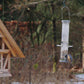 Ein kleiner Vogel hockt auf einem durchsichtigen Futterhäuschen in der Nähe von Bäumen und einer Holzkonstruktion - eine ruhige Szene für Gartenfans. Verpassen Sie nicht "GARTENTALK Gedanken zum Gärtnern im Herbst" der Königlichen Gartenakademie, Sa. 26.09.2026, 11:00-12:30 Uhr.