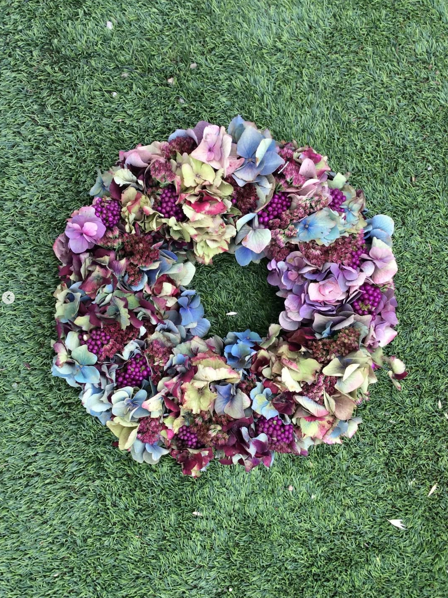 Ein leuchtender Hortensienkranz auf grünem Gras inspiriert zum nächsten Basteln - beim Workshop "Herbstliches Türkranzbinden" der Königlichen Gartenakademie, Di. 29.09.2026, 11:00-12:30!.