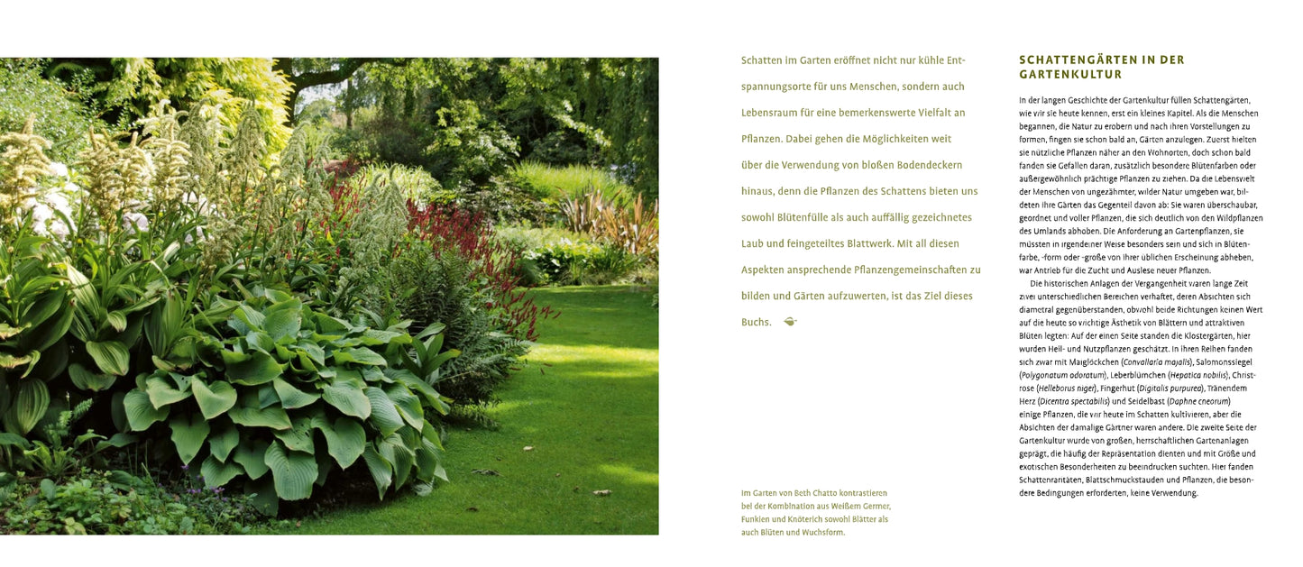 Ein schattiger Garten mit Schattenstauden und blühenden Sträuchern grenzt an einen gepflegten Rasen, während auf der rechten Seite des Bildes der Text "Schattenstauden | Die dunkle Seite Ihres Gartens" vom Verlag Eugen Ulmer erscheint.