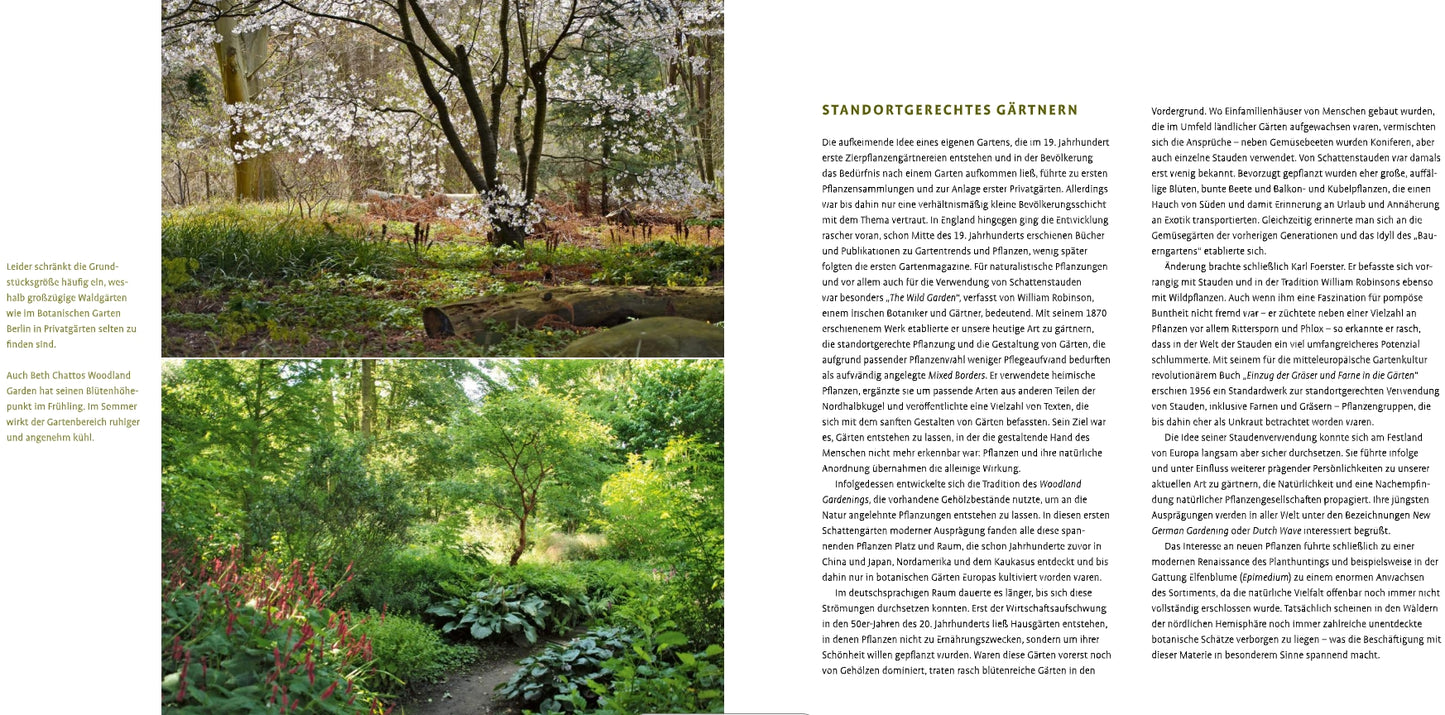 Zwei Fotos von üppigen Gärten mit grünen Schattenstauden (Schattenstauden | Die dunkle Seite Ihres Gartens, Verlag Eugen Ulmer) und ein deutscher Text zur standortgerechten Gestaltung von Schattengärten, dazu eine gelb unterlegte Kapitelüberschrift.