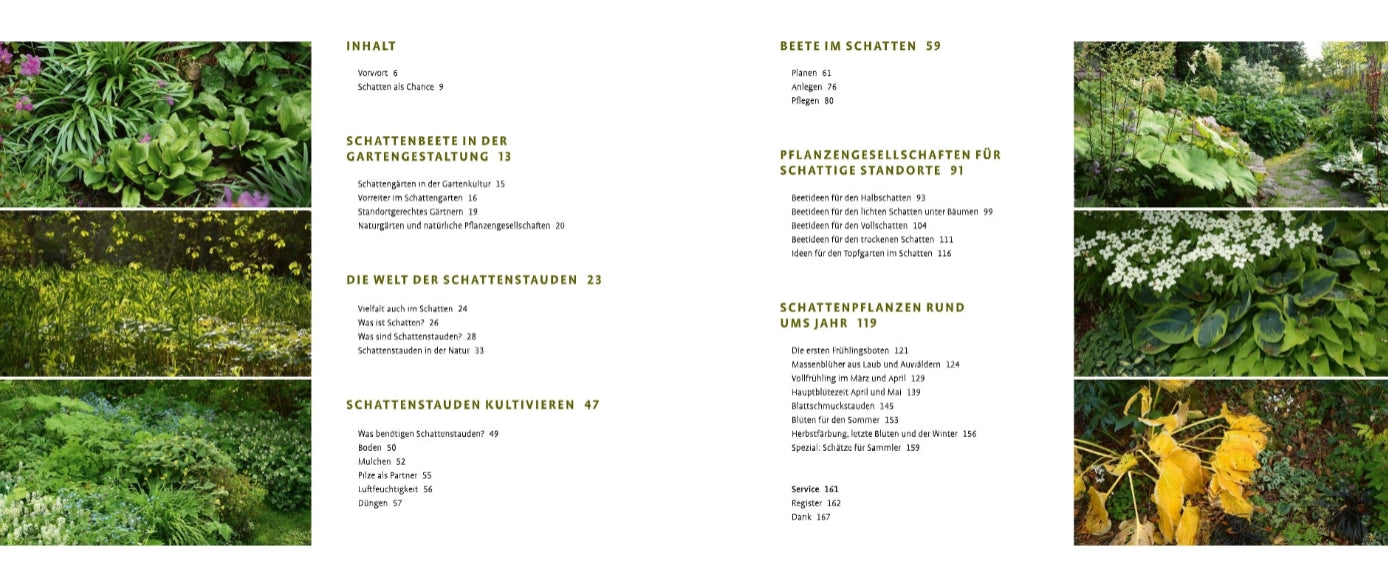 Das Buch "Schattenstauden | Die dunkle Seite Ihres Gartens" aus dem Verlag Eugen Ulmer enthält ein Inhaltsverzeichnis über schattenliebende Stauden und kreative Gartengestaltung Schatten, mit Fotos von üppig grünen Schattenpflanzen und kreativ gestalteten Gartenbeeten.