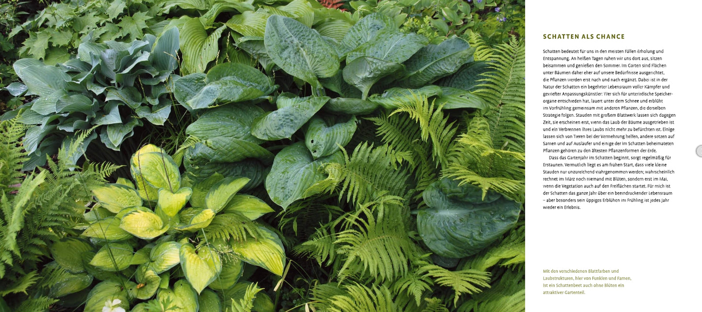 Ein üppiger Schattengarten mit großen Hostas und Farnen; rechts zeigt eine weiße Tafel das Buch des Verlags Eugen Ulmer "Schattenstauden | Die dunkle Seite Ihres Gartens" über die Verwendung von schattenliebenden Pflanzen als Blickfang.