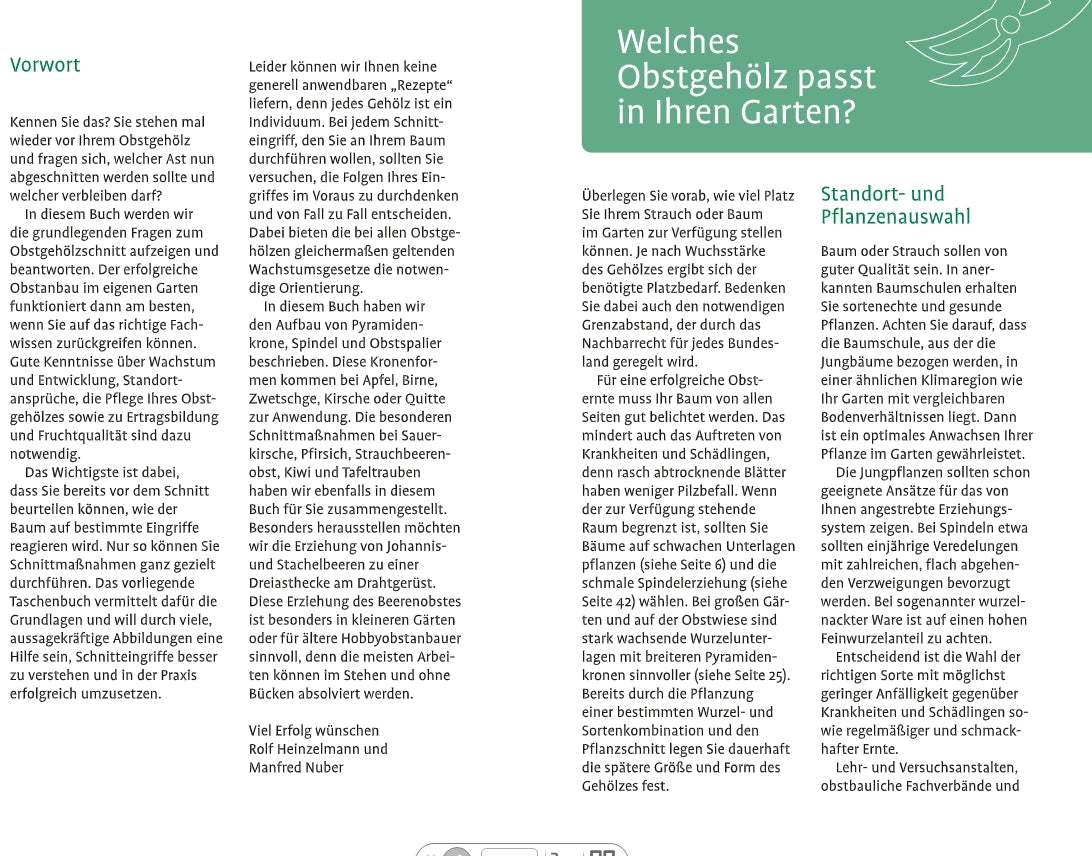 Ein deutscher Gartenratgeber aus dem Verlag Eugen Ulmer, "1x1 des Obstbaumschnitts | Für jede Gehölzform das passende Vorgehen", bietet Tipps zur Obstbaumpflege mit grünen Akzentkästen, klarem Layout und gut gegliederten Abschnitten zum leichten Lesen.