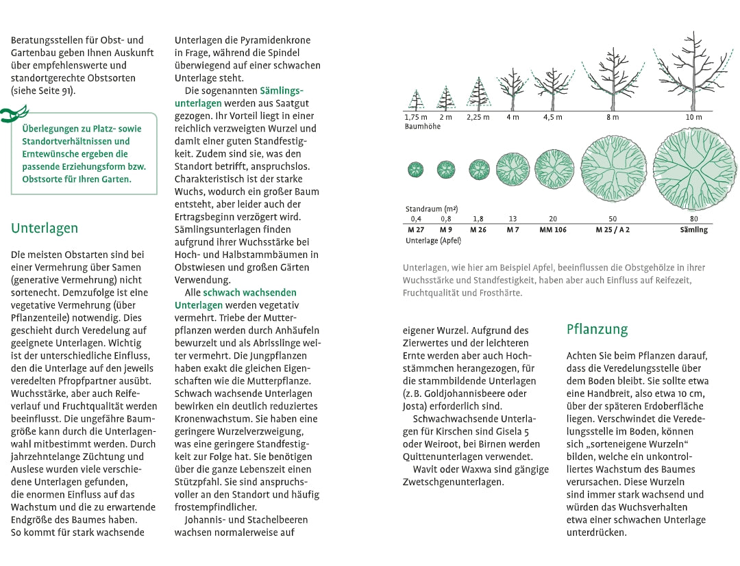 Die Broschüre "1x1 des Obstbaumschnitts" vom Verlag Eugen Ulmer bietet Informationen über Obstbaumunterlagen mit Text, grünen Kästen und Größendiagrammen - perfekt für alle, die sich für die Pflege oder den Schnitt von Obstbäumen interessieren.