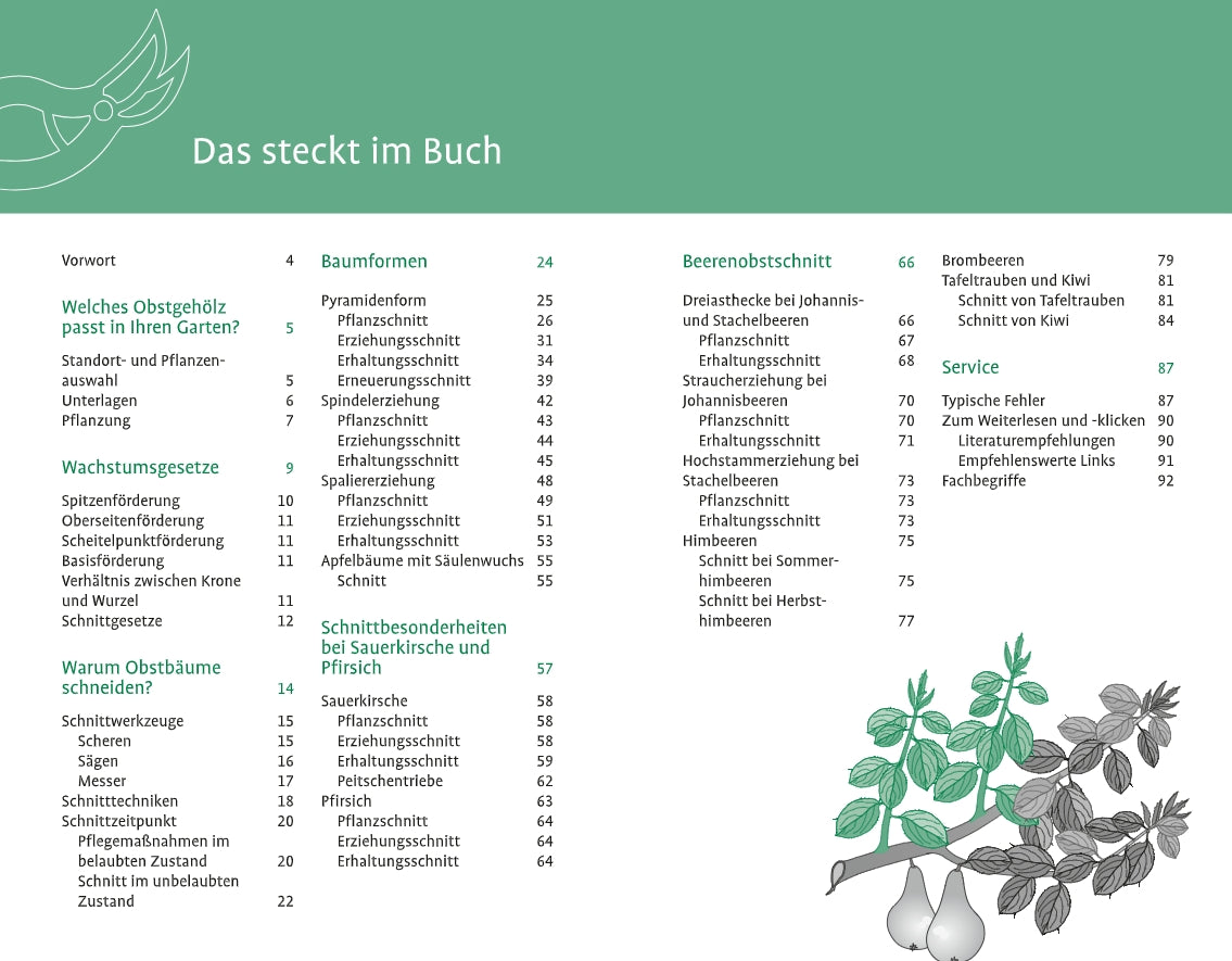 Inhaltsverzeichnis zum "1x1 des Obstbaumschnitts" vom Verlag Eugen Ulmer, mit grünem Kopf, Vogel- und Birnbaumzeichnungen. Enthält Obstbaumschnitt, Obstbäume, Beerensträucher, Tipps zum Apfelbaum schneiden und zur Fehlersuche.