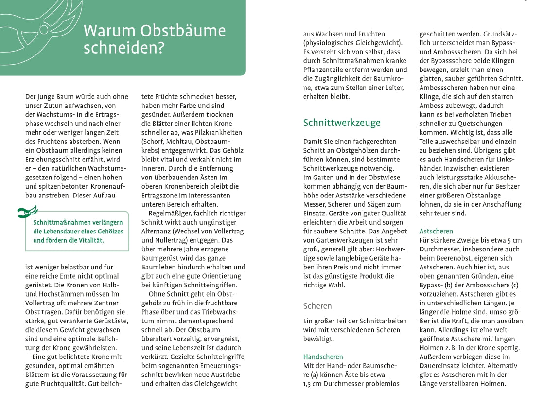 Das Info-Faltblatt "1x1 des Obstbaumschnitts" vom Verlag Eugen Ulmer erklärt auf Deutsch anschaulich Vorteile, Werkzeuge und Pflegetipps zum Obstbaumschnitt - mit grünen Überschriften und klaren Bullet Points.