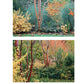 Zwei Fotos eines Gartens im Herbst: Das obere zeigt leuchtendes rotes, gelbes und grünes Laub; das untere zeigt dichtes Grün - ideal für Gärten im Winter als Inspiration. Der Text erscheint darunter. Marke: Verlag Eugen Ulmer.