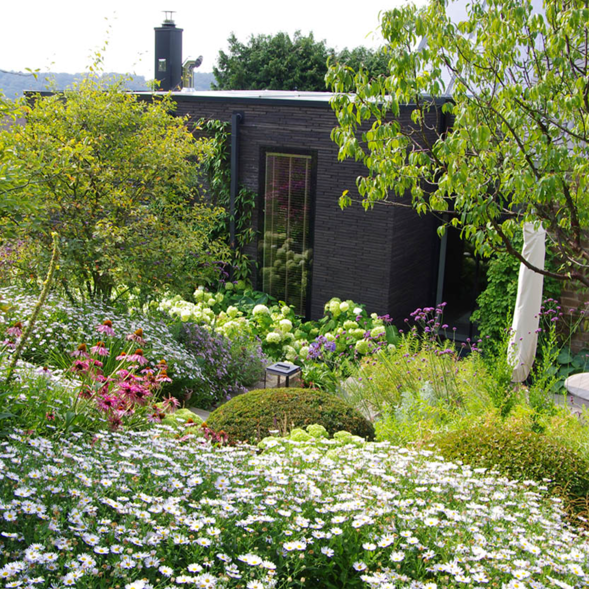 Lassen Sie sich für Ihre Gartengestaltung inspirieren mit Gabriella Pape's Halbtageskurs "Grundlagen der Gartengestaltung" am Do. 06.11.2025, 09:30-12:30-ideal für frische Ideen zur Gartenplanung!.