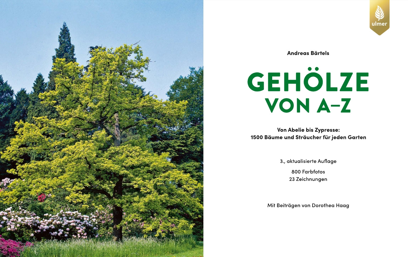 Buchumschlag für "Gehölze von A-Z | Eine große Vielfalt an Bäumen und Sträuchern für den Garten" vom Ulmer Verlag: links ein großer Baum und Sträucher, rechts der grün-schwarze Titel auf weißem Grund.