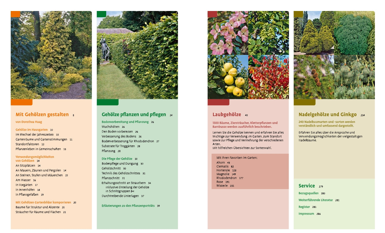 Eine Doppelseite aus "Gehölze von A-Z" aus dem Ulmer Verlag zeigt Landschaftsgärten, Hecken und eine breite Palette von Bäumen und Sträuchern. Der deutsche Text hebt Gehölze hervor und enthält ein Inhaltsverzeichnis mit Kapitelüberschriften.
