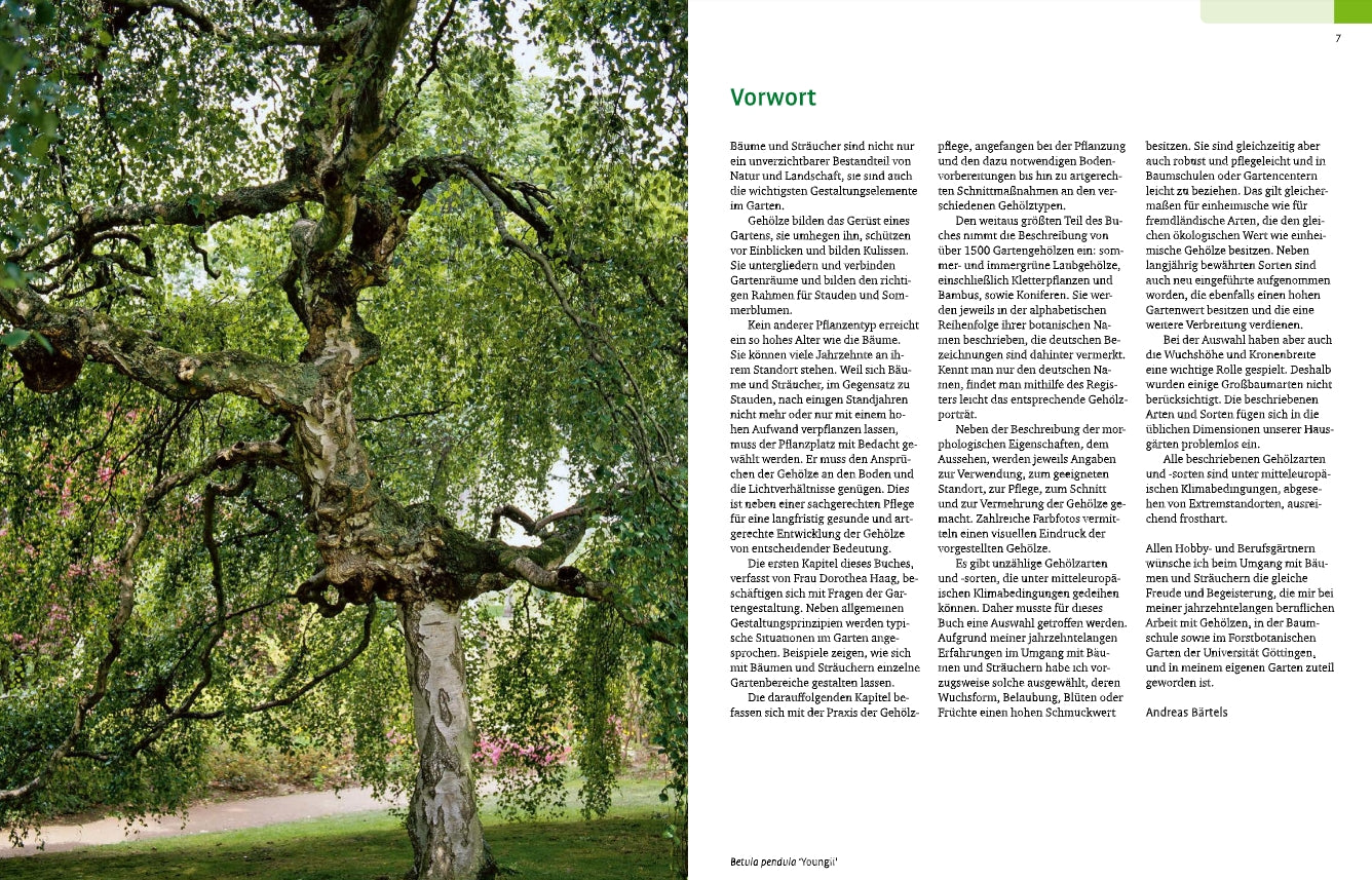 In einem Park steht ein majestätischer Baum mit grünen Blättern, durch die das Sonnenlicht fällt. Auf der rechten Seite steht unter "Vorwort" in Grün ein deutscher Text, der die "Gehölze von A-Z | Eine große Vielfalt an Bäumen und Sträuchern für den Garten" des Ulmer Verlags vorstellt.