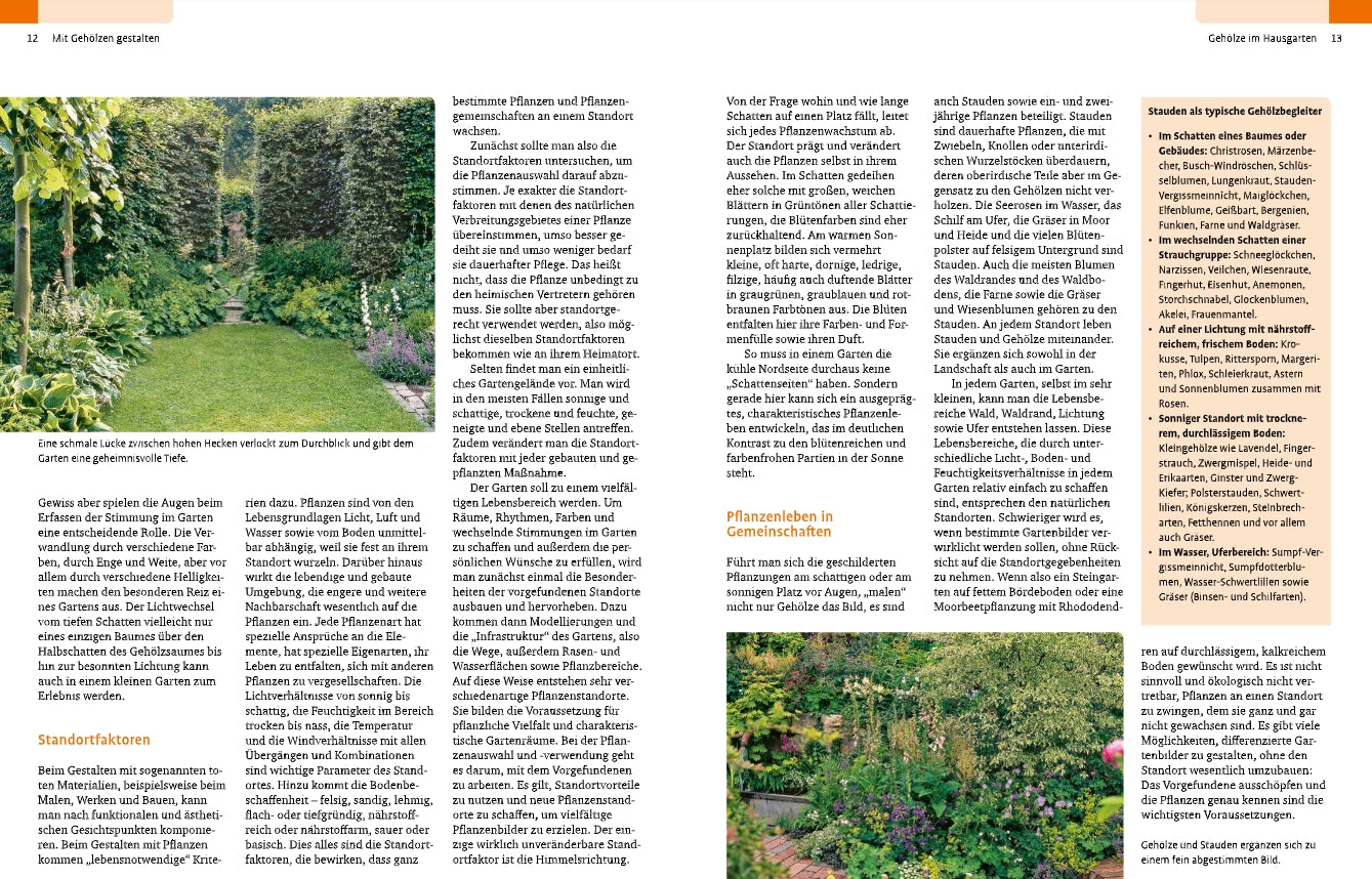 Eine deutschsprachige Magazinseite über "Gehölze von A-Z" aus dem Ulmer Verlag, die zwei üppige Gärten zeigt, die von Bäumen und Sträuchern gesäumt sind. Das klare Design zeichnet sich durch orangefarbene Überschriften und Spalten mit informativem Text über die Vielfalt der Gartenpflanzen aus.