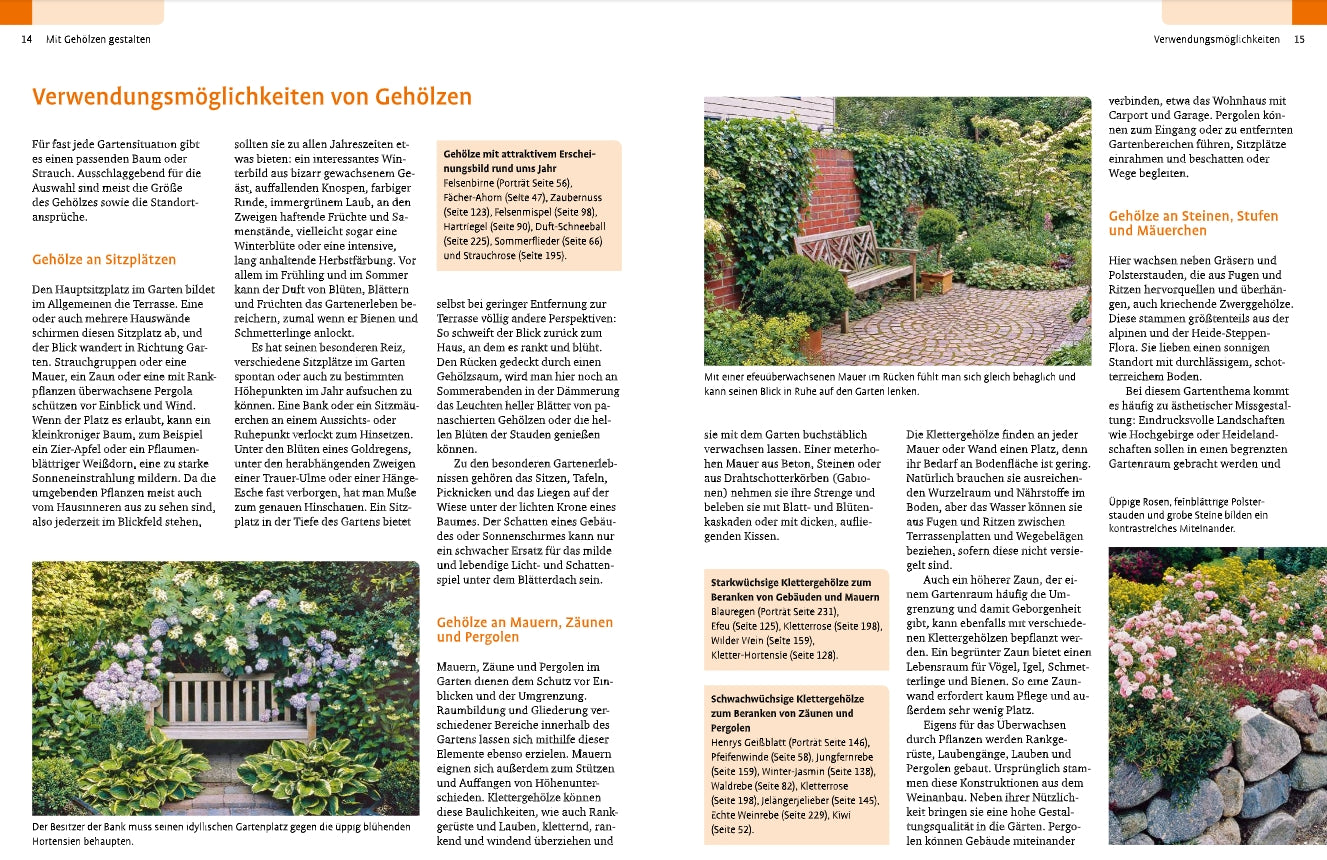 Ein deutsches Magazin hebt "Gehölze von A-Z" aus dem Ulmer Verlag hervor, das Gartentipps gibt und Bänke inmitten von Bäumen und Sträuchern in schönen, gepflegten Gärten vorstellt.
