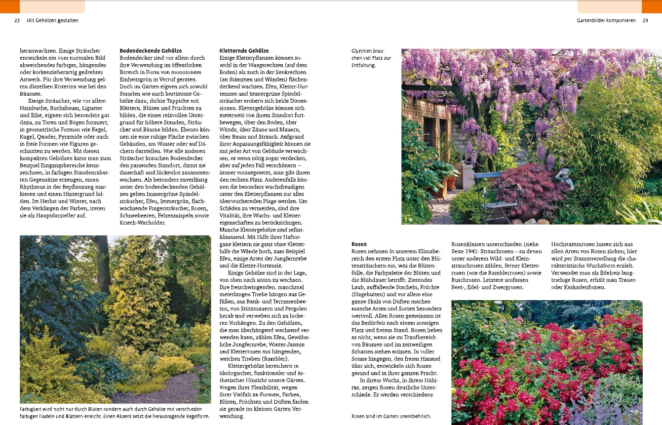 Eine Magazinstrecke zeigt "Gehölze von A-Z" aus dem Ulmer Verlag mit deutschen Texten zur Gartengestaltung und lebendigen Fotos von üppigen Gärten, verschiedenen Bäumen und Sträuchern, bunten Blumen, Glyzinien und dichtem Grün.