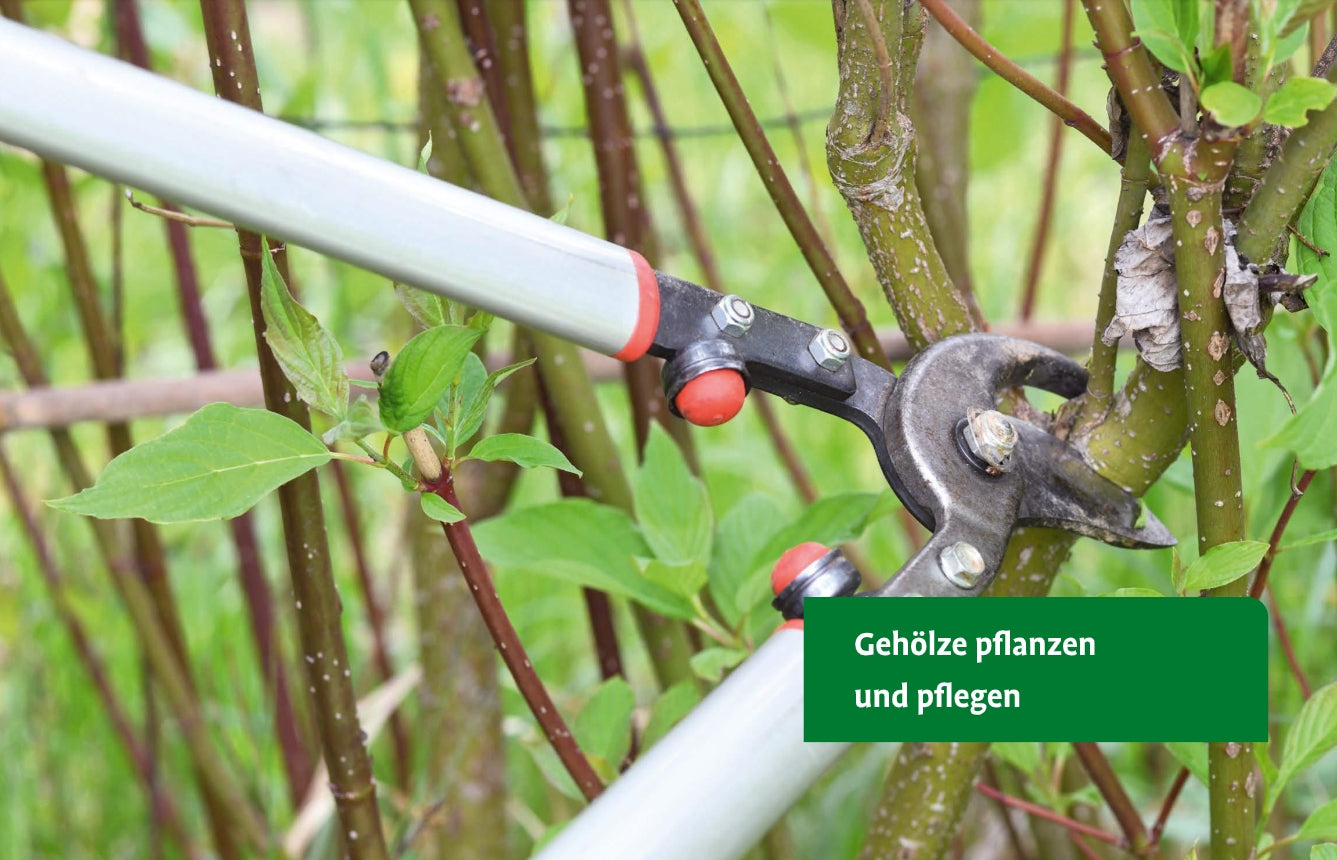 Nahaufnahme einer Baumschere, die einen Strauchzweig abschneidet, dahinter grüne Blätter. Ein deutsches Schild wirbt für "Gehölze von A-Z" des Ulmer Verlags - eine große Auswahl an Bäumen und Sträuchern für die Gartengestaltung.
