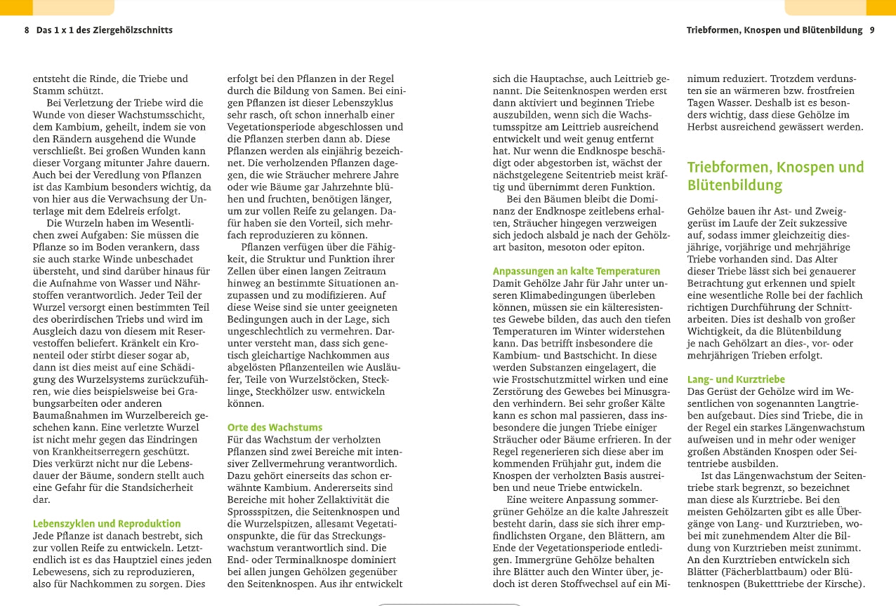 Eine Seite aus dem "Handbuch Pflanzenschnitt" des Verlags Eugen Ulmer bietet dichten deutschen Text in Spalten, grüne und gelbe Überschriften und hervorgehobene Schlüsselbegriffe wie Rosenschnitt und Obstbäume schneiden in einem sauberen, bildfreien Layout.