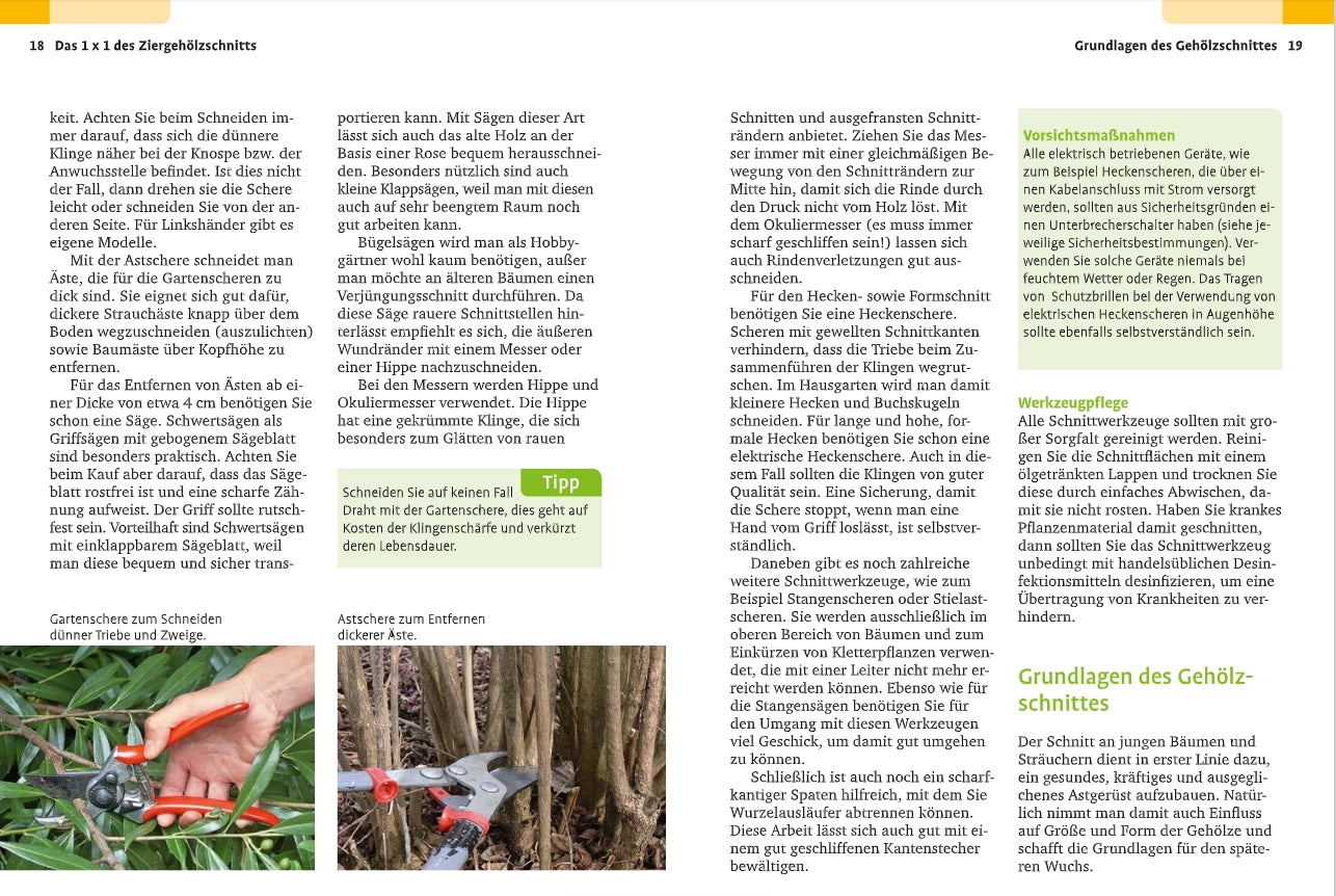 Das "Handbuch Pflanzenschnitt" vom Verlag Eugen Ulmer bietet Anleitungen und Tipps zum Gehölzschnitt - mit Foto von schneidenden, behandschuhten Händen, ideal für Techniken wie Rosenschnitt oder Obstbaumschnitt.