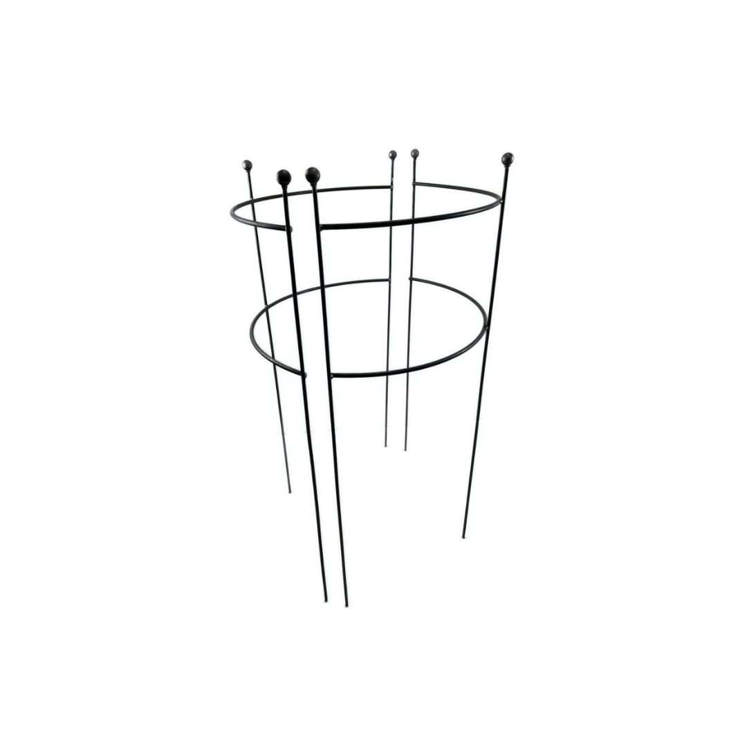 Der Hirsch 2x Staudenhalter HUGO halbrund ist eine Metall-Pflanzenstütze mit sechs vertikalen Stäben und zwei Halbringen, perfekt als Rankhilfe Garten für hohe oder kletternde Pflanzen. Abgerundete Stabspitzen, abgebildet auf weißem Hintergrund.