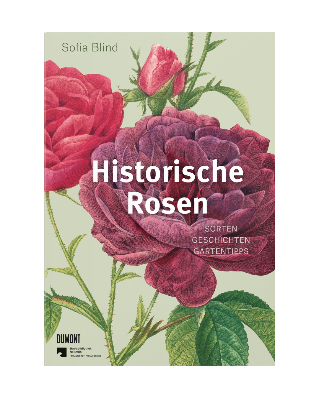 Buchdeckel mit illustrierten rosa und roten Rosen mit grünen Blättern. Titel: "Historische Rosen | fünfzig Rosensorten mit prachtvollen historischen Illustrationen" von Sofia Blind. Erschienen im Dumont Verlag, mit Verlagslogos unten links.