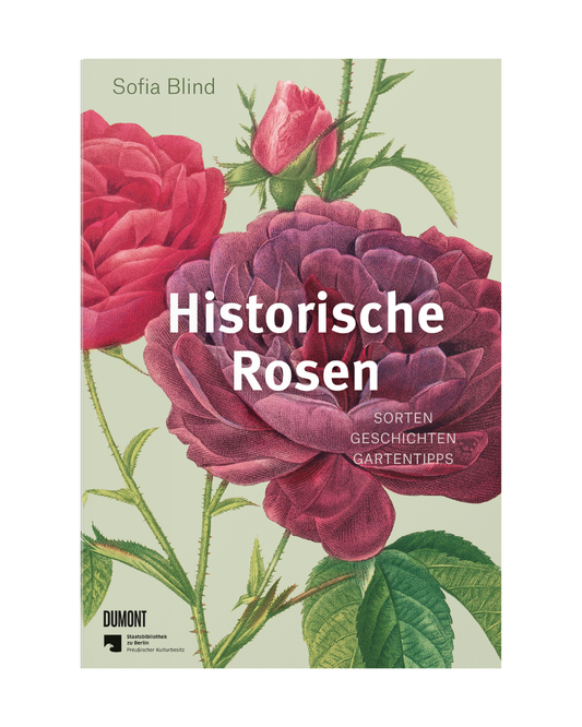 Buchdeckel mit illustrierten rosa und roten Rosen mit grünen Blättern. Titel: "Historische Rosen | fünfzig Rosensorten mit prachtvollen historischen Illustrationen" von Sofia Blind. Erschienen im Dumont Verlag, mit Verlagslogos unten links.