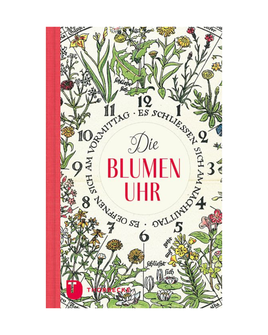 Das Cover von "Die Blumenuhr | Mit zahlreichen Fotos und nostalgischen Illustrationen" aus dem Thorbecke Verlag zeigt florale Illustrationen in Form einer Uhr, deutsche Phrasen um die Zahlen, einen weißen Hintergrund, einen roten Buchrücken und das Verlagslogo unten links.