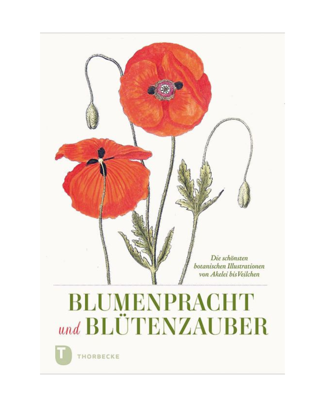 Umschlag von "Blumenpracht und Blütenzauber | Die schönsten botanischen Illustrationen" des Thorbecke Verlags mit zwei leuchtend roten Mohnblumen mit grünen Stängeln und Blättern auf weißem Grund und dem deutschen Titel in eleganter Schrift.