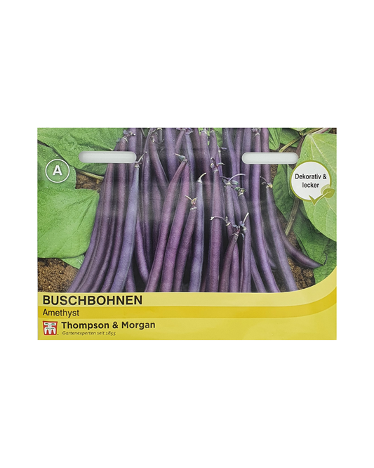 Eine Saatgutpackung von Thompson und Morgan mit der Aufschrift "Buschbohnen Amethyst" zeigt einen Strauß violetter Bohnen mit grünen Blättern. Die gelb-weiße Verpackung hebt ihre Eignung für Balkon oder Topfkultur hervor.