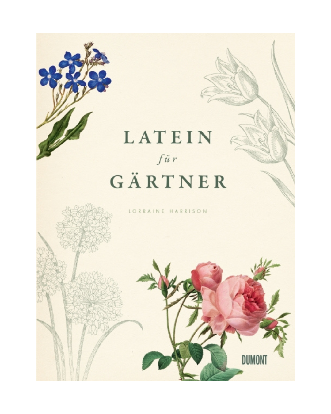 Buchumschlag mit dem Titel "Latein für Gärtner" aus dem Dumont Verlag, mit botanischen Illustrationen von blauen, rosafarbenen und weißen Blüten auf hellem Hintergrund - perfekt für Gartenliebhaber, um botanische Namen der Pflanzen zu erkunden.