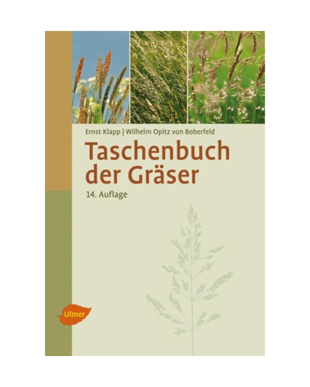 Buchumschlag von "Taschenbuch der Gräser | Erkennung und Bestimmung" von Ernst Klapp und Wilhelm Opitz von Boberfeld (Ulmer Verlag), mit Gräserfotos im oberen Teil und einem illustrierten Gras auf beige-grünem Hintergrund.