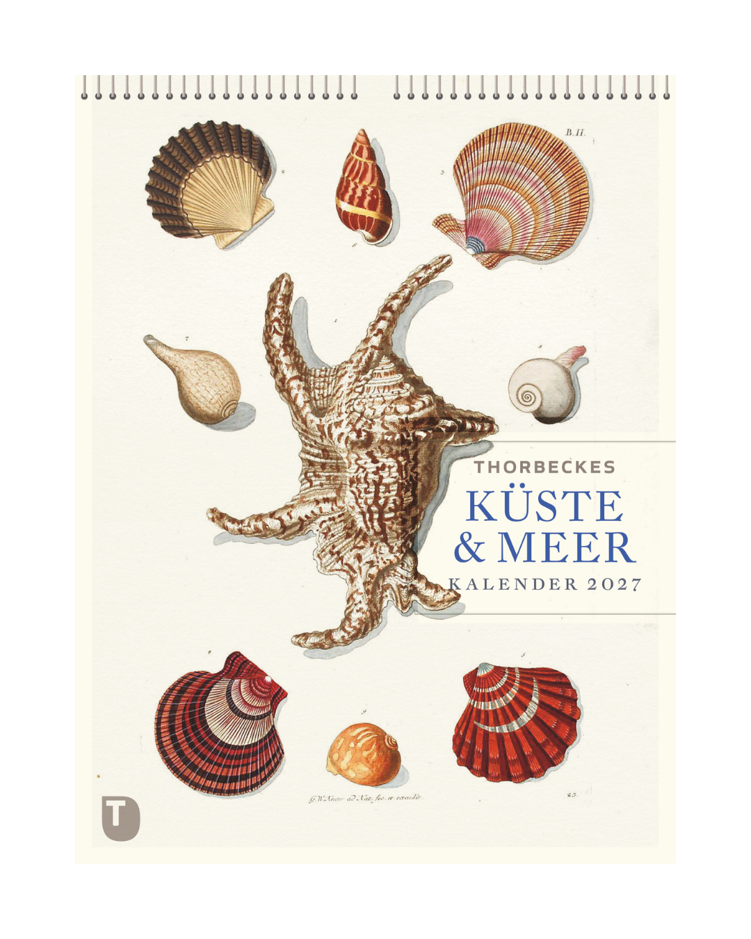 Eine Illustration mit verschiedenen Muscheln, die eine markante Muschel in der Mitte umgeben, ziert das Cover des „Kalenders 2027 | Küste und Meer“, der historische Abbildungen enthält und auf dem der Markenname „Kosmos Verlag“ auf Deutsch angegeben ist.