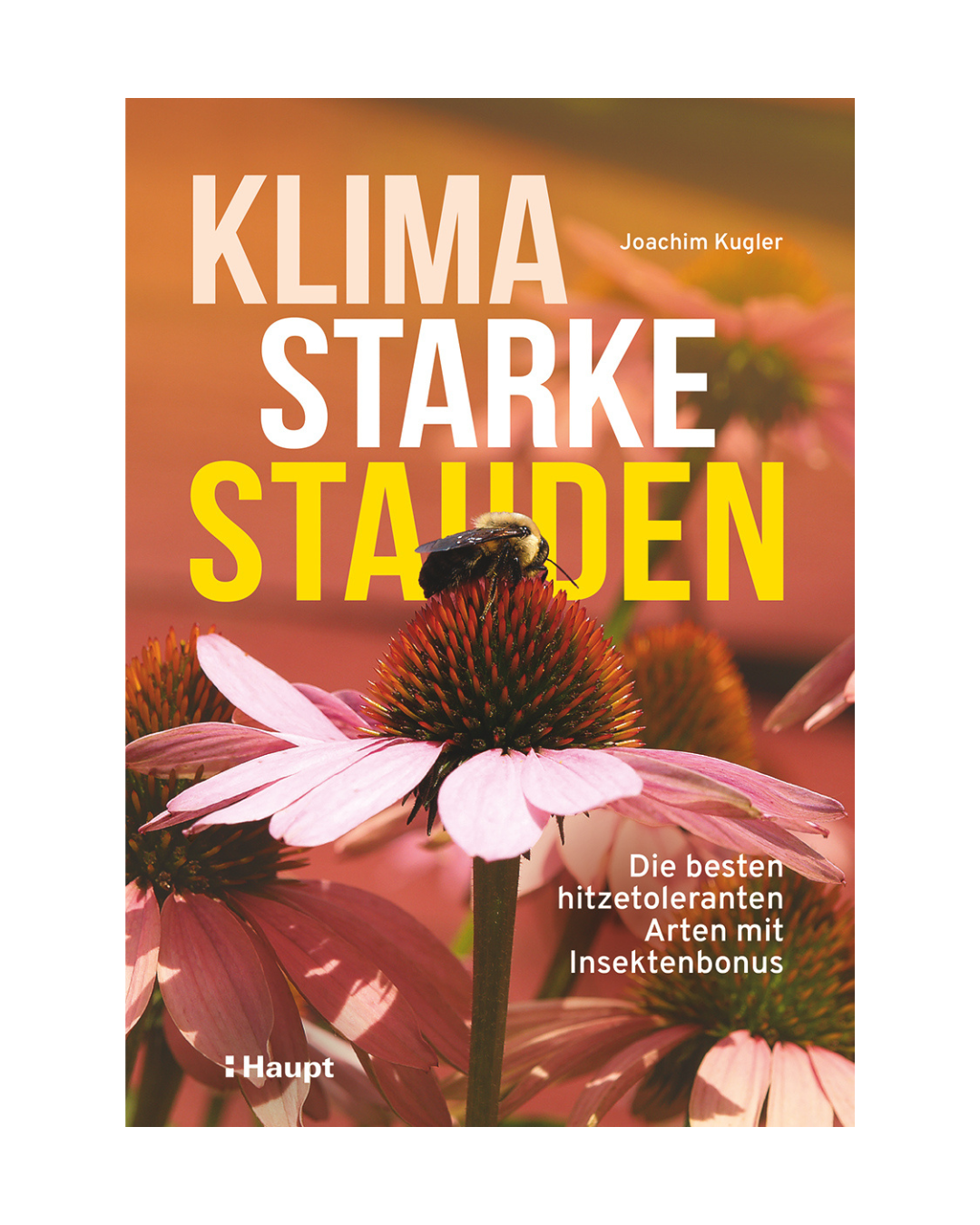 Klimastarke Stauden (Haupt Verlag): Das Buchcover zeigt eine Biene auf rosa Sonnenhut vor grünem Laub und orangefarbenem Hintergrund. Für einen klimaresilienten, insektenfreundlichen Garten mit Tipps zu Stauden für Trockenheit.