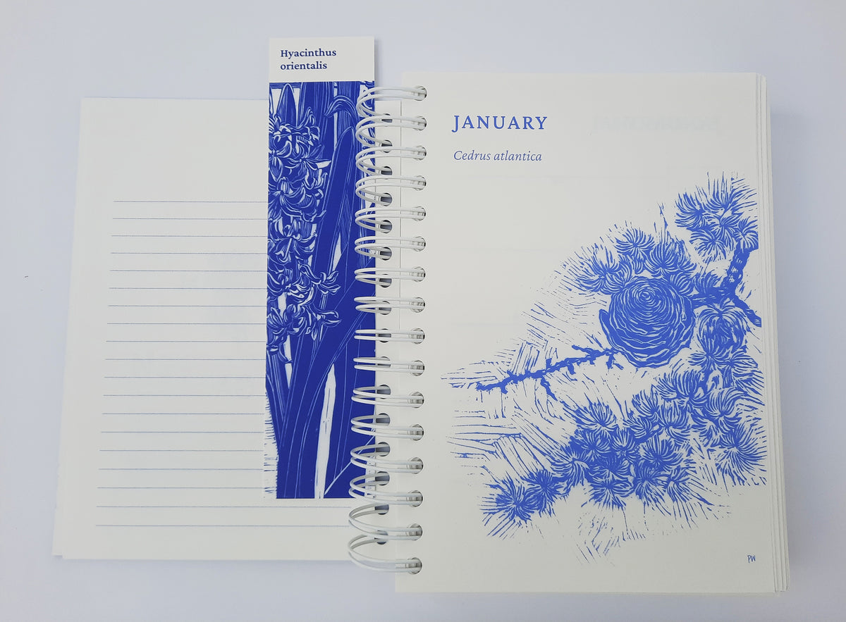 Das „KGA Gartentagebuch | ‚Five Years Diary‘“ in limitierter Auflage der Königlichen Gartenakademie ist aufgeschlagen zu sehen und gibt den Blick frei auf linierte Seiten sowie eine blau illustrierte Januar-Seite mit Cedrus atlantica. Ein botanisches Lesezeichen mit der Aufschrift „Hyacinthus orientalis“ liegt auf der linken Seite; alle Illustrationen sind in Blau auf Weiß gehalten. Dieses als limitierte Auflage gefertigte Tagebuch ist eine einzigartige Bereicherung für die Sammlung jedes Gartenliebhabers.