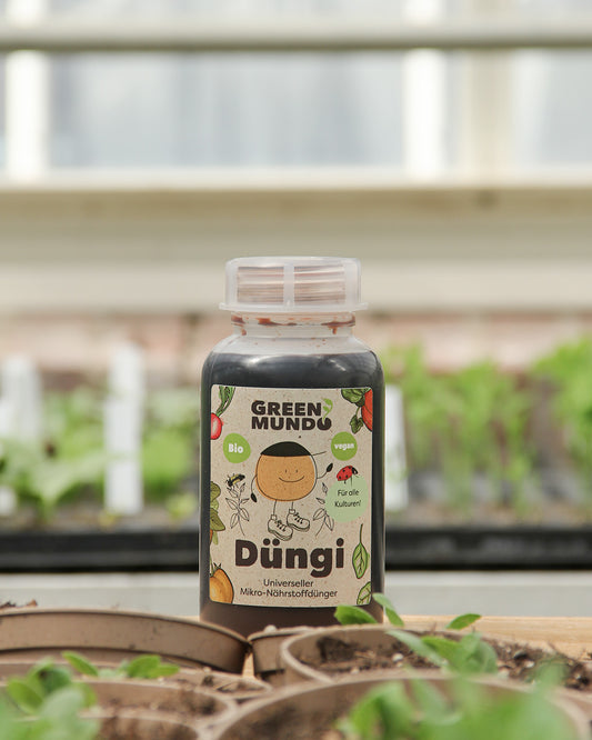 Eine Flasche Green Mundo 'Düngi' Universeller Mikro-Nährstoffdünger mit Biostimulanzie 500 ml steht auf einem Tisch mit Sämlingsschalen und Grünpflanzen im Hintergrund in einem Gewächshaus.