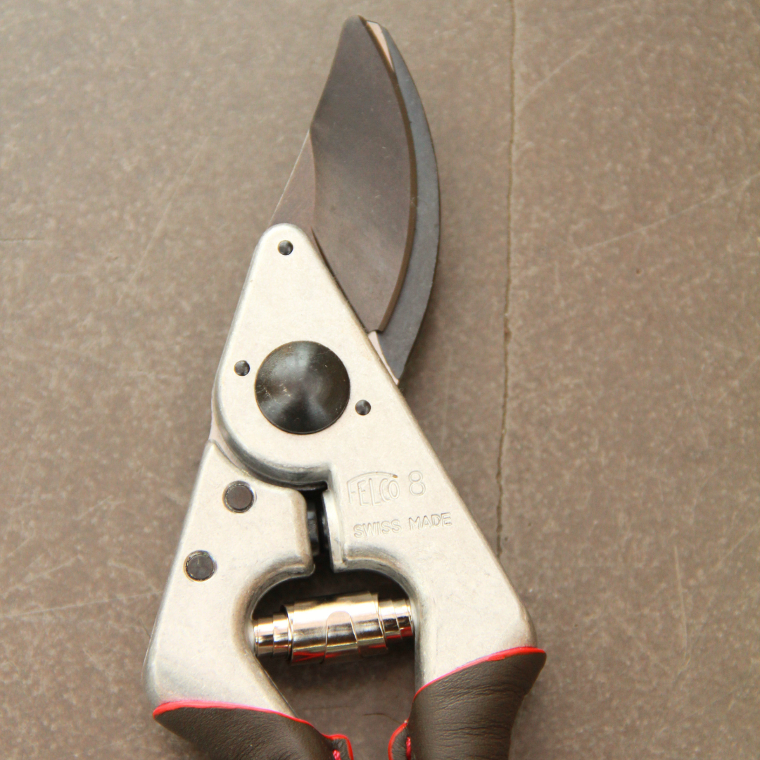 Eine Nahaufnahme der Felco 8 ELITE Gartenschere von Felco mit schwarzen und roten Griffen und der Aufschrift "FELCO 8 SWISS MADE", die auf einer braunen Oberfläche liegt.