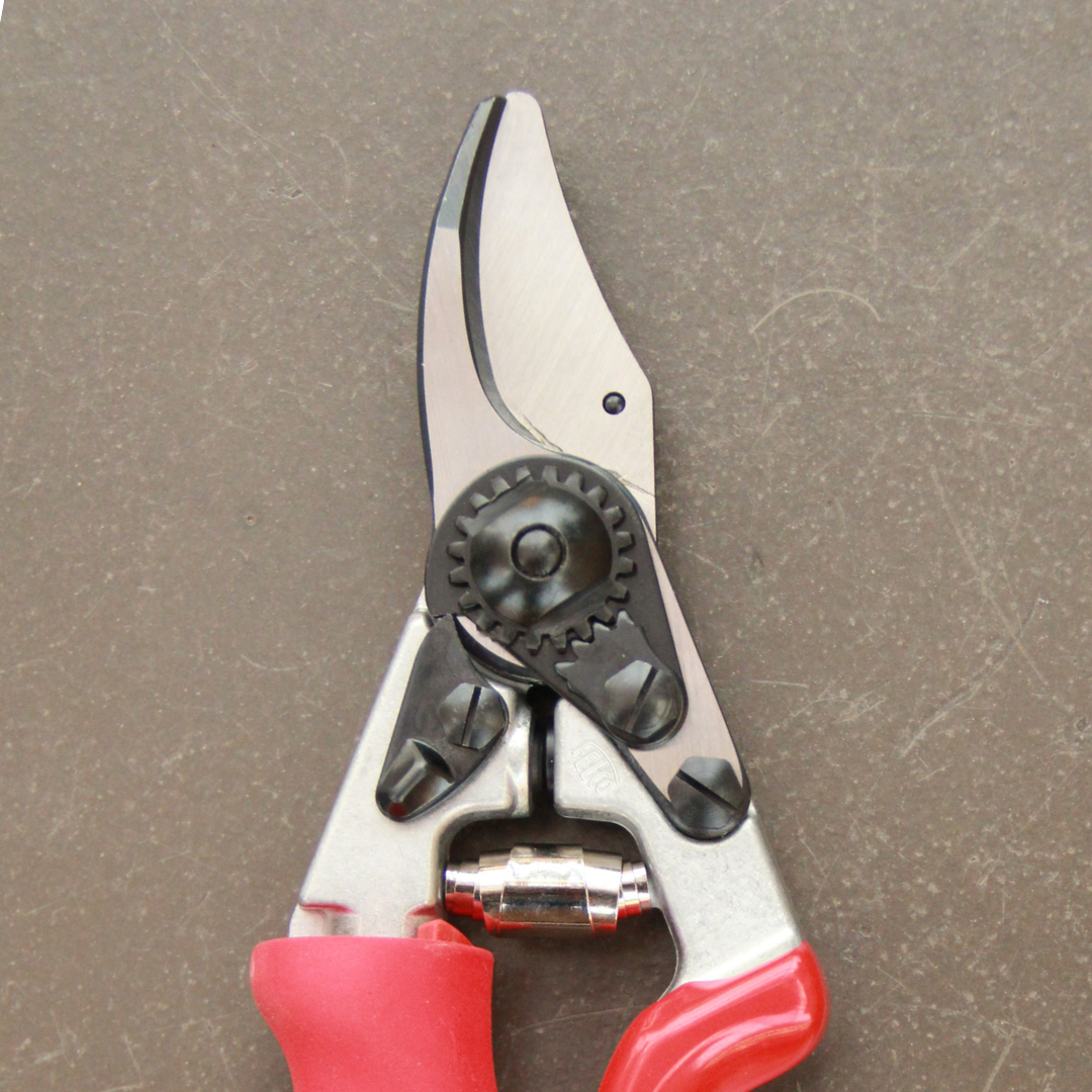 Nahaufnahme einer Felco 12 Gartenschere von Felco mit roten Rollgriffgriffen und freiliegenden Metallklingen, die auf einer glatten, strukturierten Oberfläche liegen.